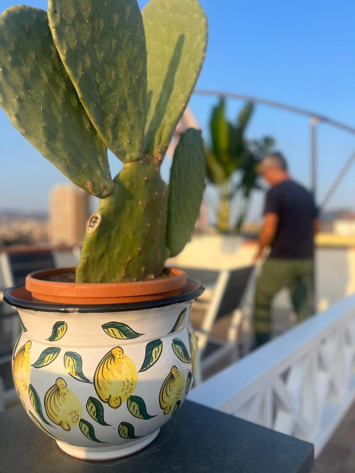 La Terrazza Sul Cielo Leilighet CTA Eksteriør bilde